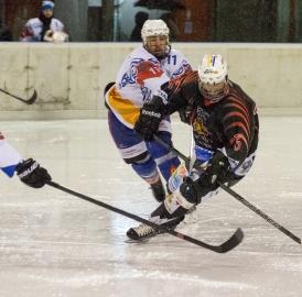 Eishockey: Wohlen siegt, Fi-Gö verliert