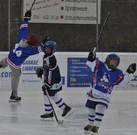 «Swiss Hockey Day» in Wohlen