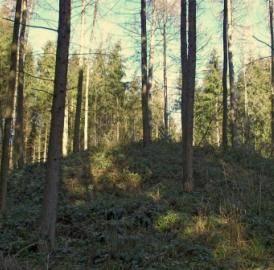 Auf den Spuren der Kelten