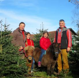 Weihnachtlicher Markt in Aristau