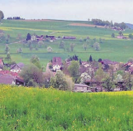 Leitfaden für künftige Entwicklung