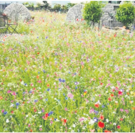 Ihr Gartengestalter