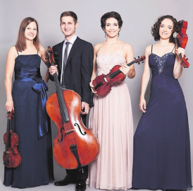 Haydn, Schubert und 20 Saiten