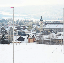 Dichtestress am Rebberg
