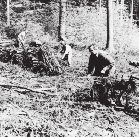 «Staudenmacher» halten Tradition hoch