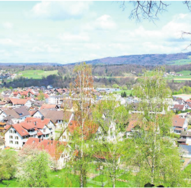 Nehmen Verlust der Beiträge in Kauf