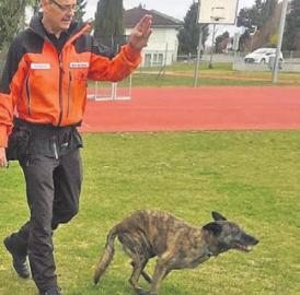 Der Hund, der beste Freund des Menschen