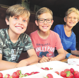 Das ganze Schulhaus zieht mit