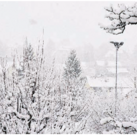 Erfreuen Sie sich am Schnee?