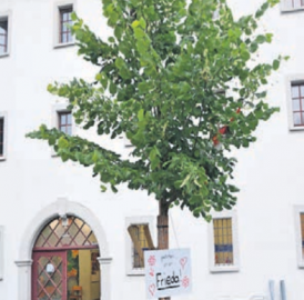 RÜSSTÜFELI