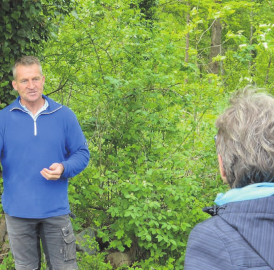 Zufiker Eichen in Jonen