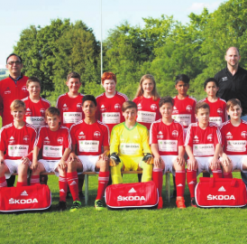 FC Bremgarten, Junioren D: mit neuem Dress und Taschen