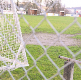 Bald gibts einen neuen Rasen