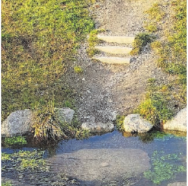 Wann kommt der Steg beim Büelisackerkanal?