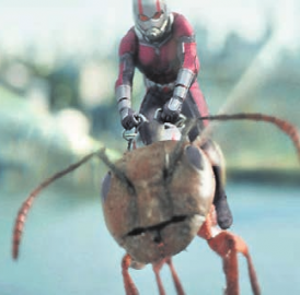 «Ant-Man and the Wasp»
