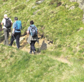 Aufs Stanserhorn wandern