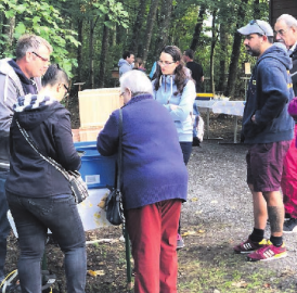 Tag der offenen Bienenkästen