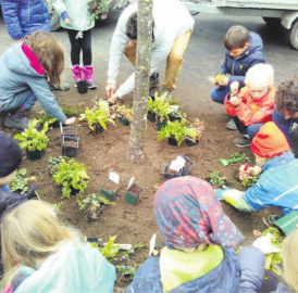 Kinder pflanzten eine Linde