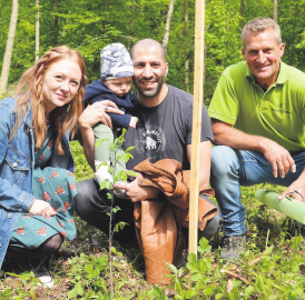 Käfer frisst den Wald nicht