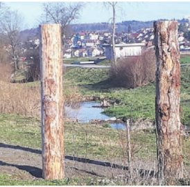 Totholzstelen sind ein Erfolg