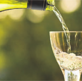 Genuss-Seminar Champagner
