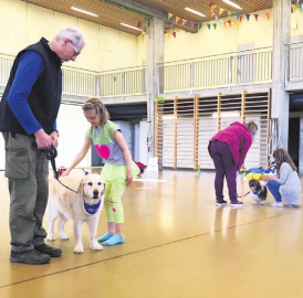 Keine Angst vor Hunden