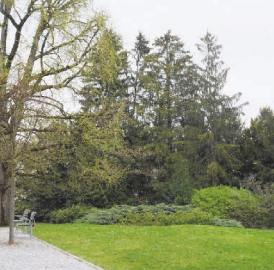 Risiko nach Sturmschaden zu gross