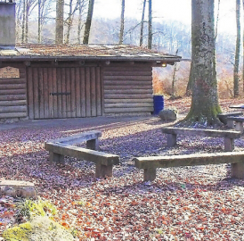 Waldhütte Fröschenteich ist online