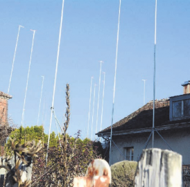 Entwicklung mitbestimmten