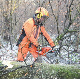 Gewappnet für jedes Holz