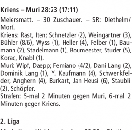 RESULTATE HANDBALL