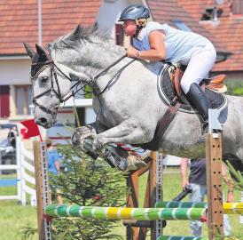 Wohlen fest im Pferdesportfieber