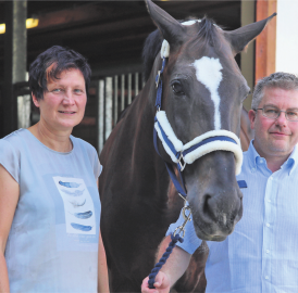 Volksfest mit Pferd