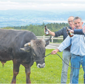 «Kümu» mit dem halben Horn