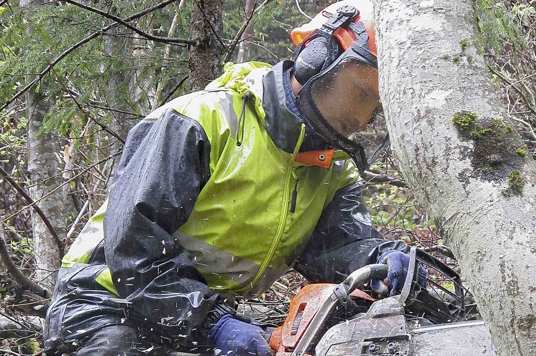Was wachsen soll, braucht Pflege