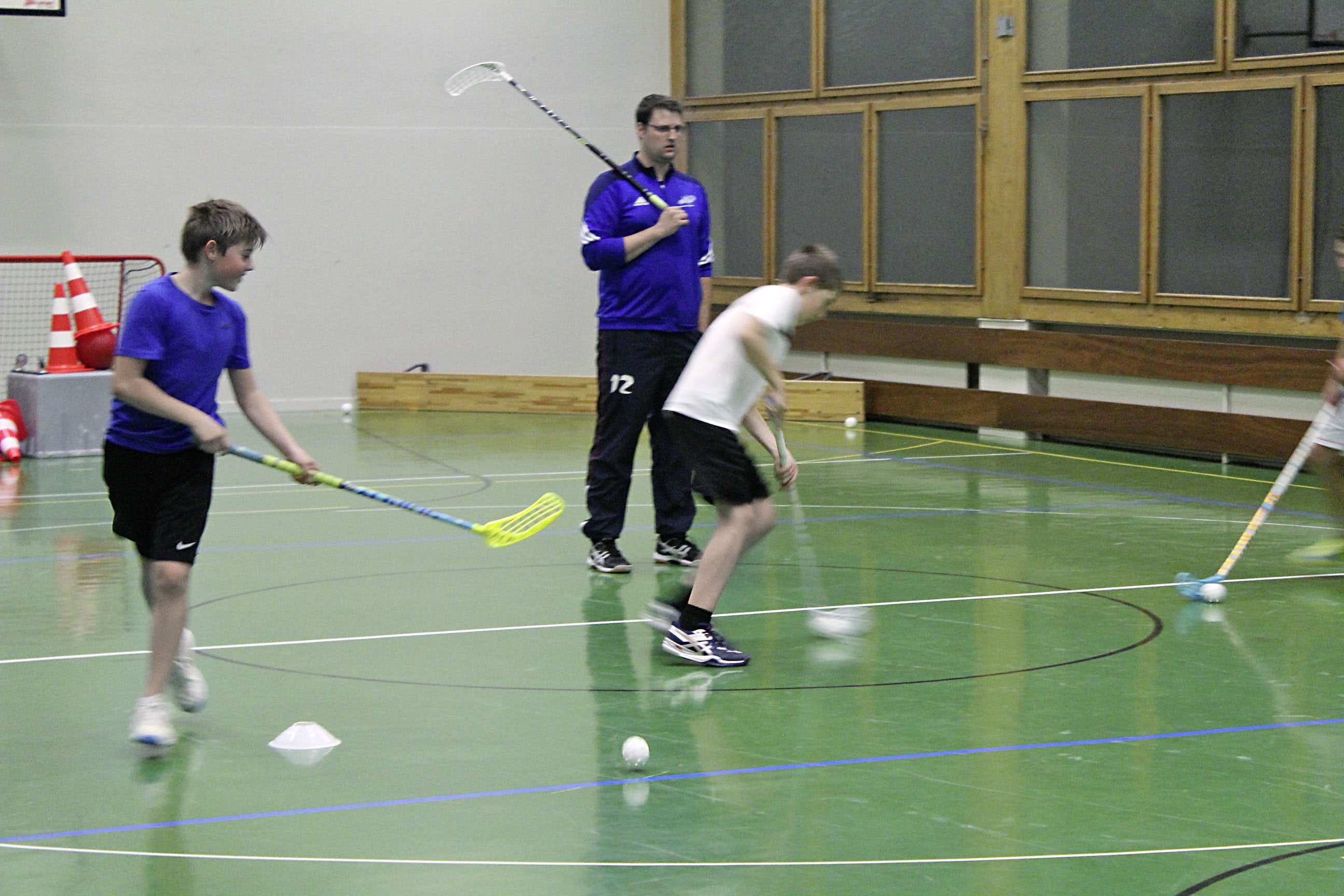Spielwitz mit Stock und Ball