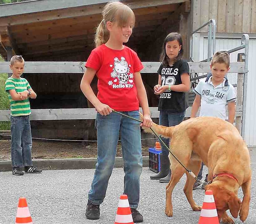 Den Umgang mit Hunden lernen