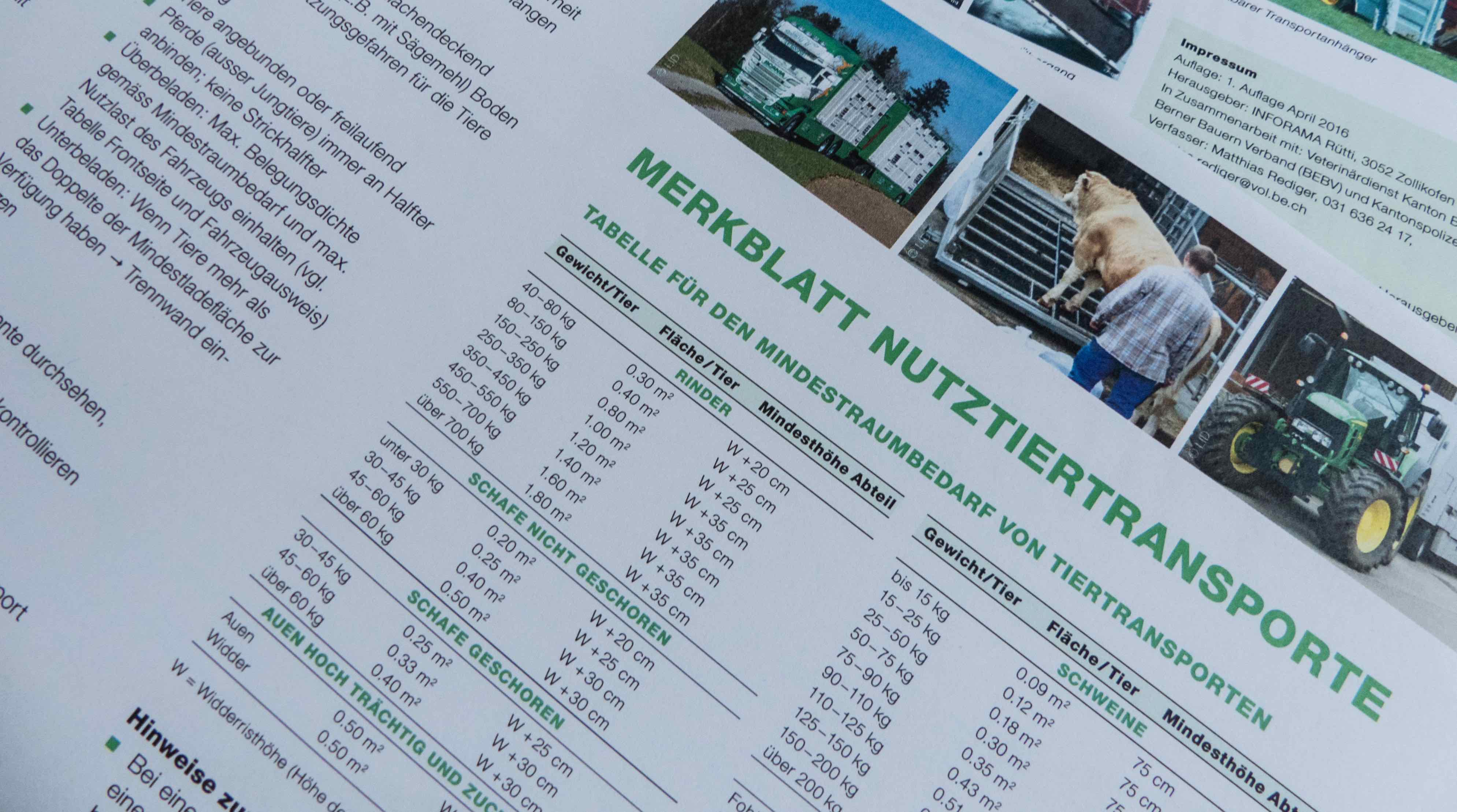 Tiertransporte im Visier der Polizei
