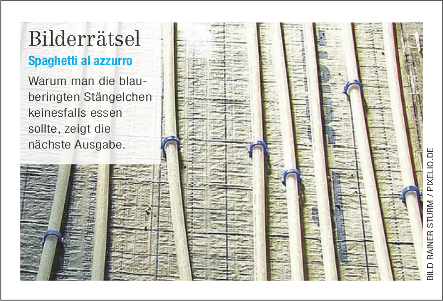 Bilderrätsel