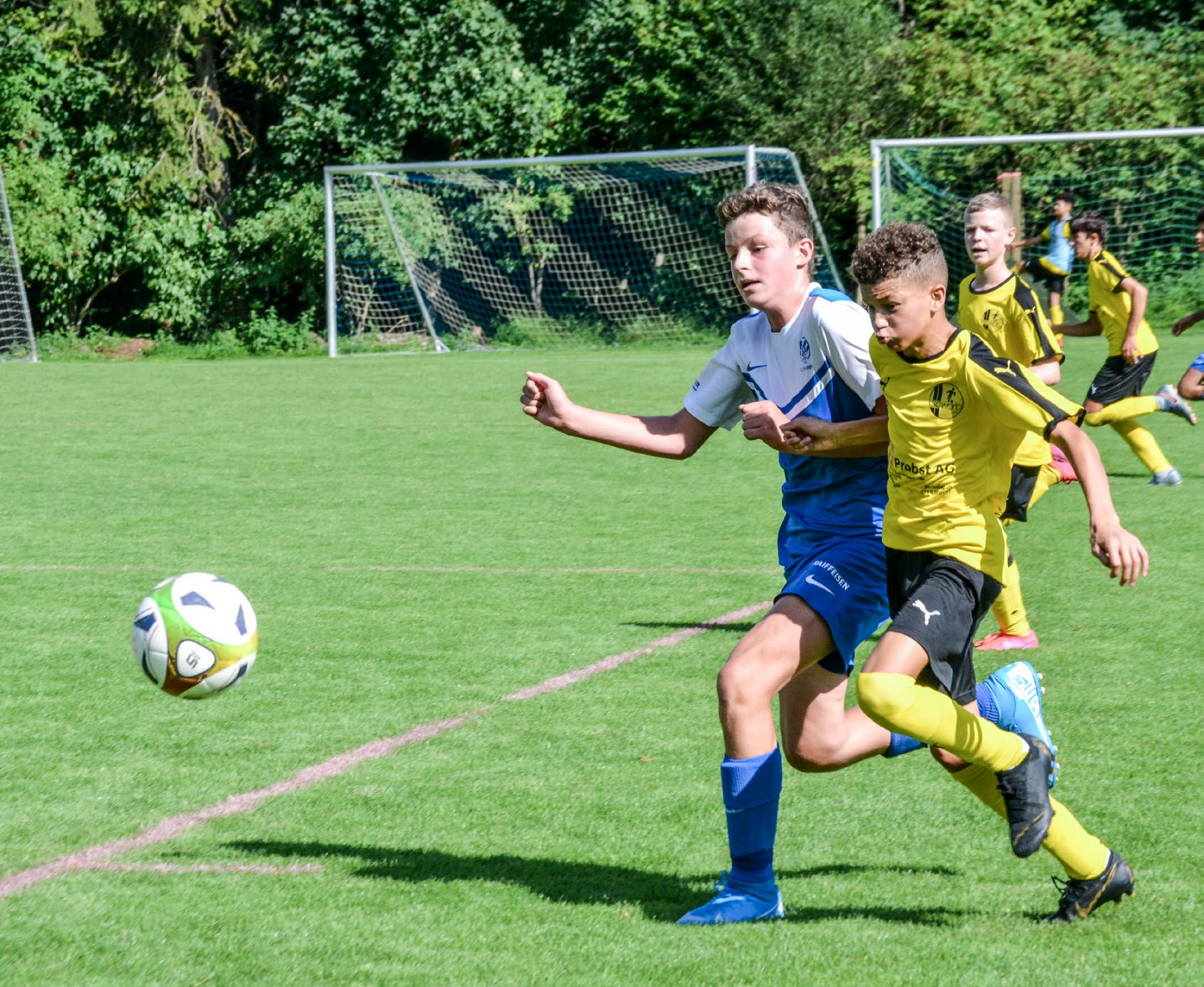 Frutiger Junioren stehen im Cupfinal