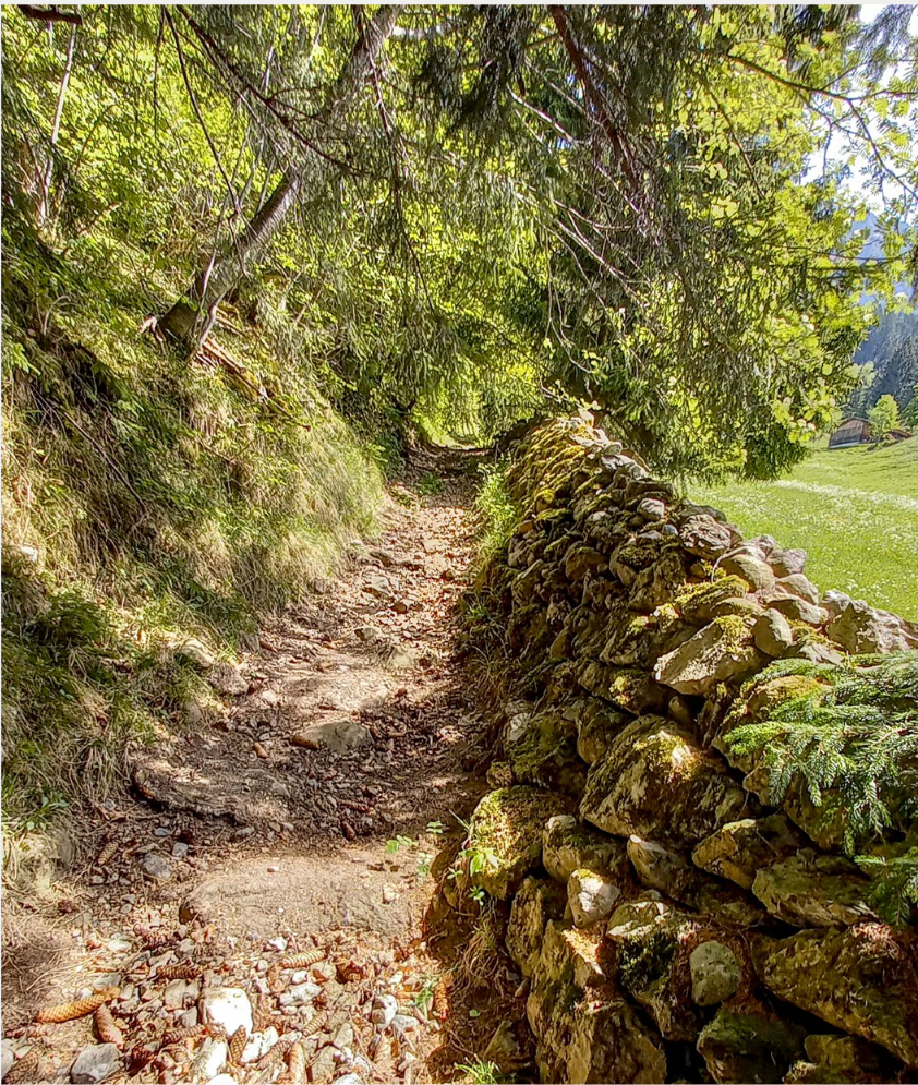 BLICKPUNKT – Zeugen aus früherer Zeit