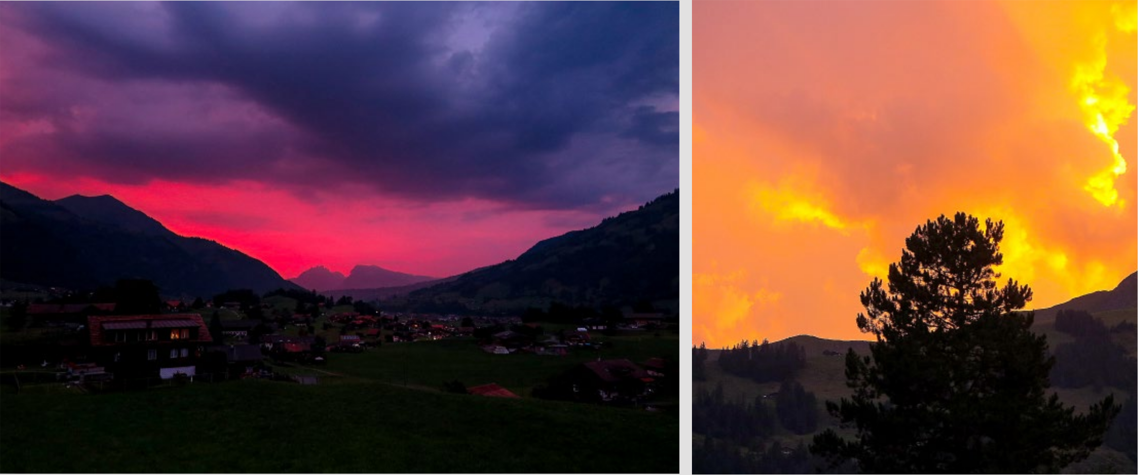LESERBILDER
