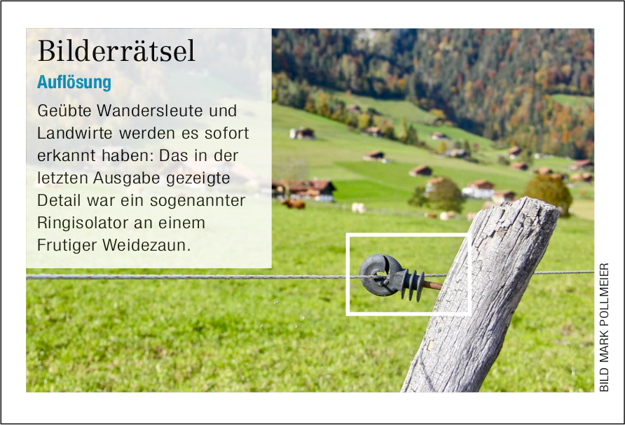 Bilderrätsel