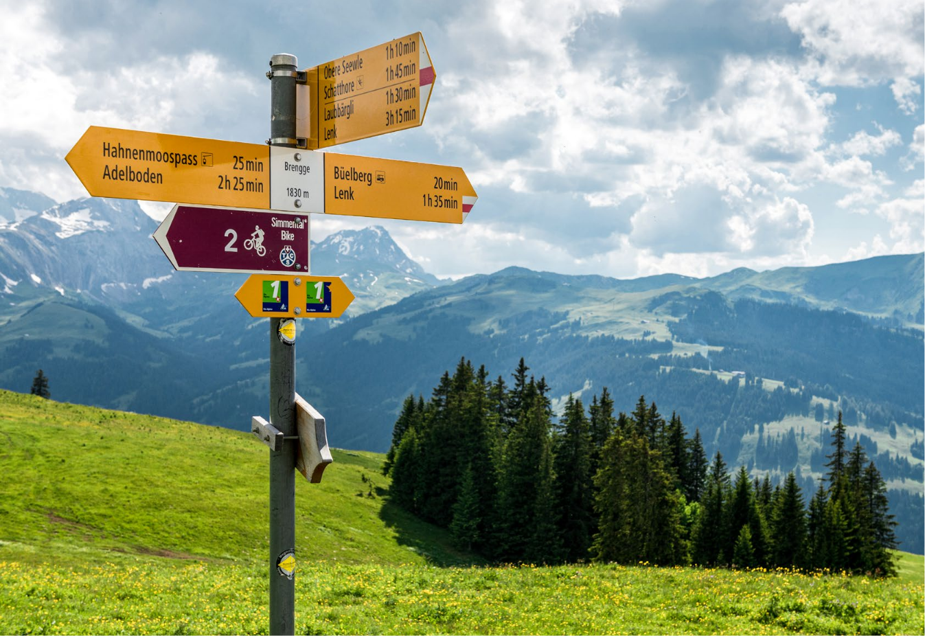 Drei Organisationen vernetzen sich