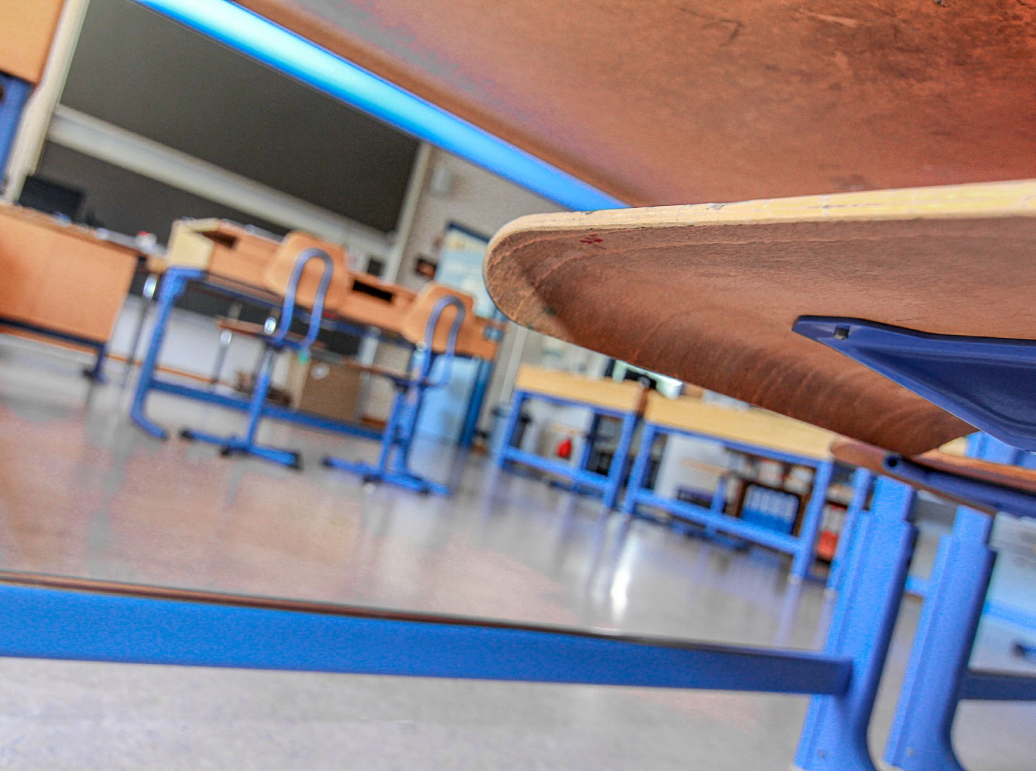 Wenn die Lehrer zu Lernenden werden