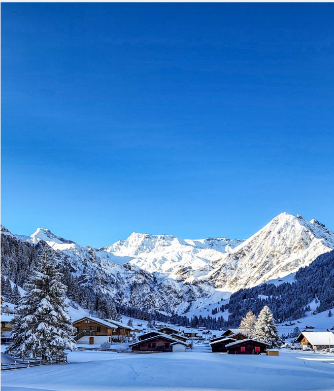 LESERBILDER