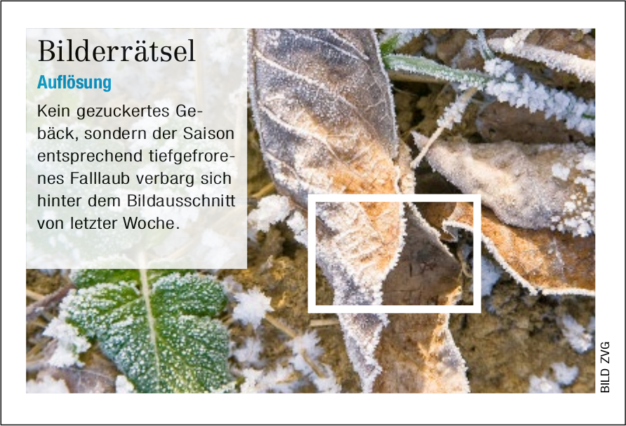 Bilderrätsel