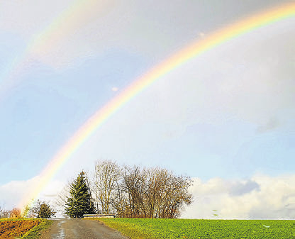 Das Leben ist bunt wie ein Regenbogen.