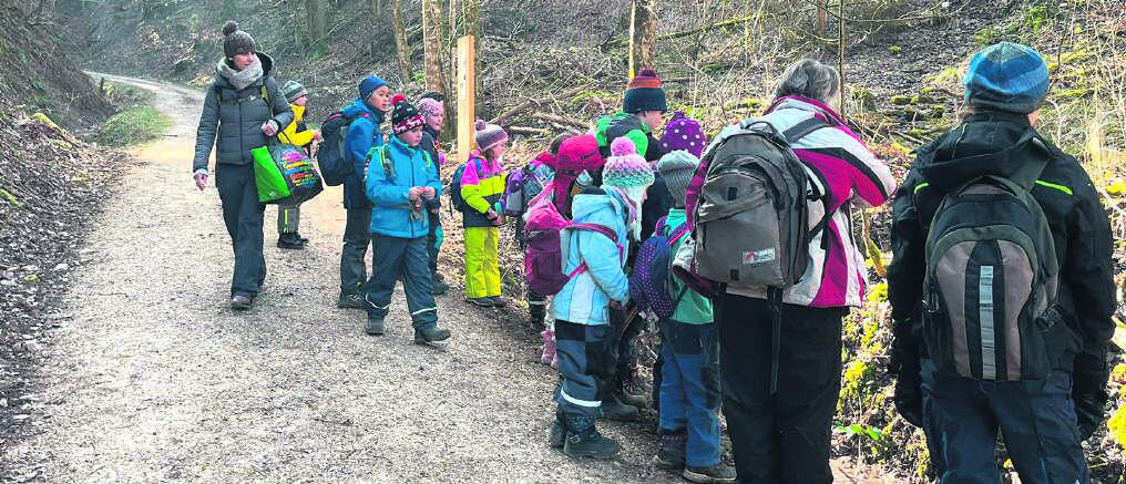Auf Entdeckungsreise im Wald