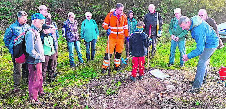 Viel Einsatz am Naturschutztag